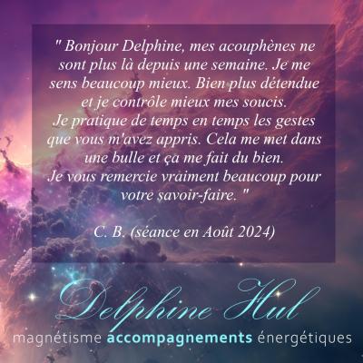 Avis séance magnétisme delphine hul aout 2024